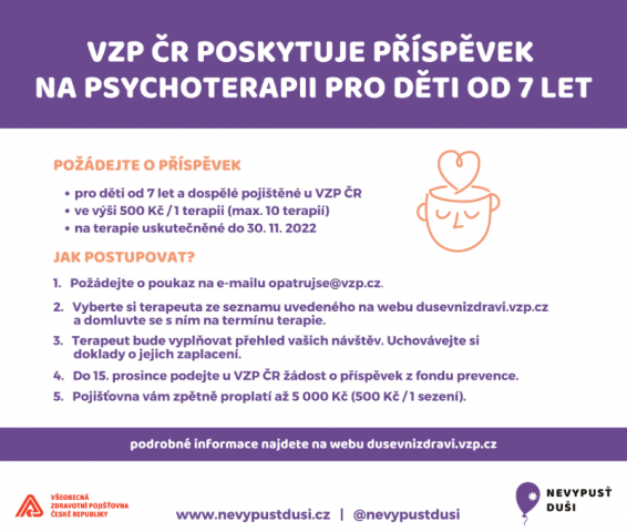 Příspěvek na psychoterapii